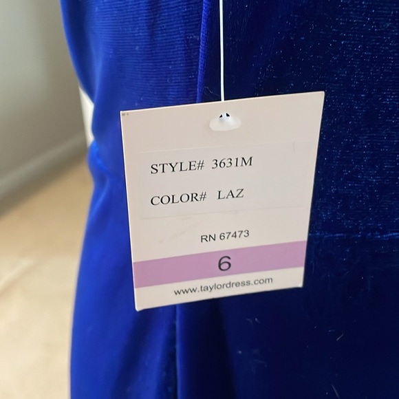 Blue Velvet Gown - Picture 6 of 6